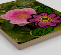 Image 2 of Nootka Rose 11x14 Wood Print 