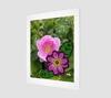 Nootka Rose 11x14 Fine Art Print