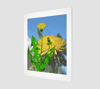 Dandelion 11x14 Fine Art Print 