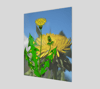 Dandelion 11x14 Poster 