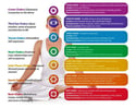 7 Chakra Healing Gemstone Stretch Bracelet