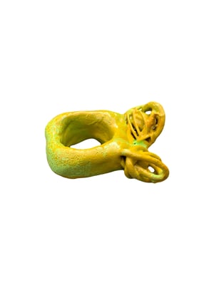 NUDIBRANCH 1
