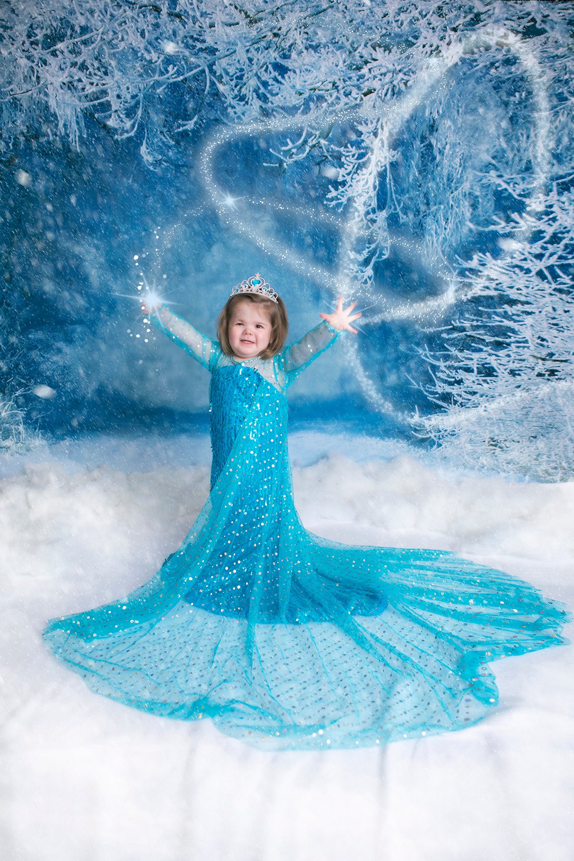 Image of Retainer fee Princess mini session