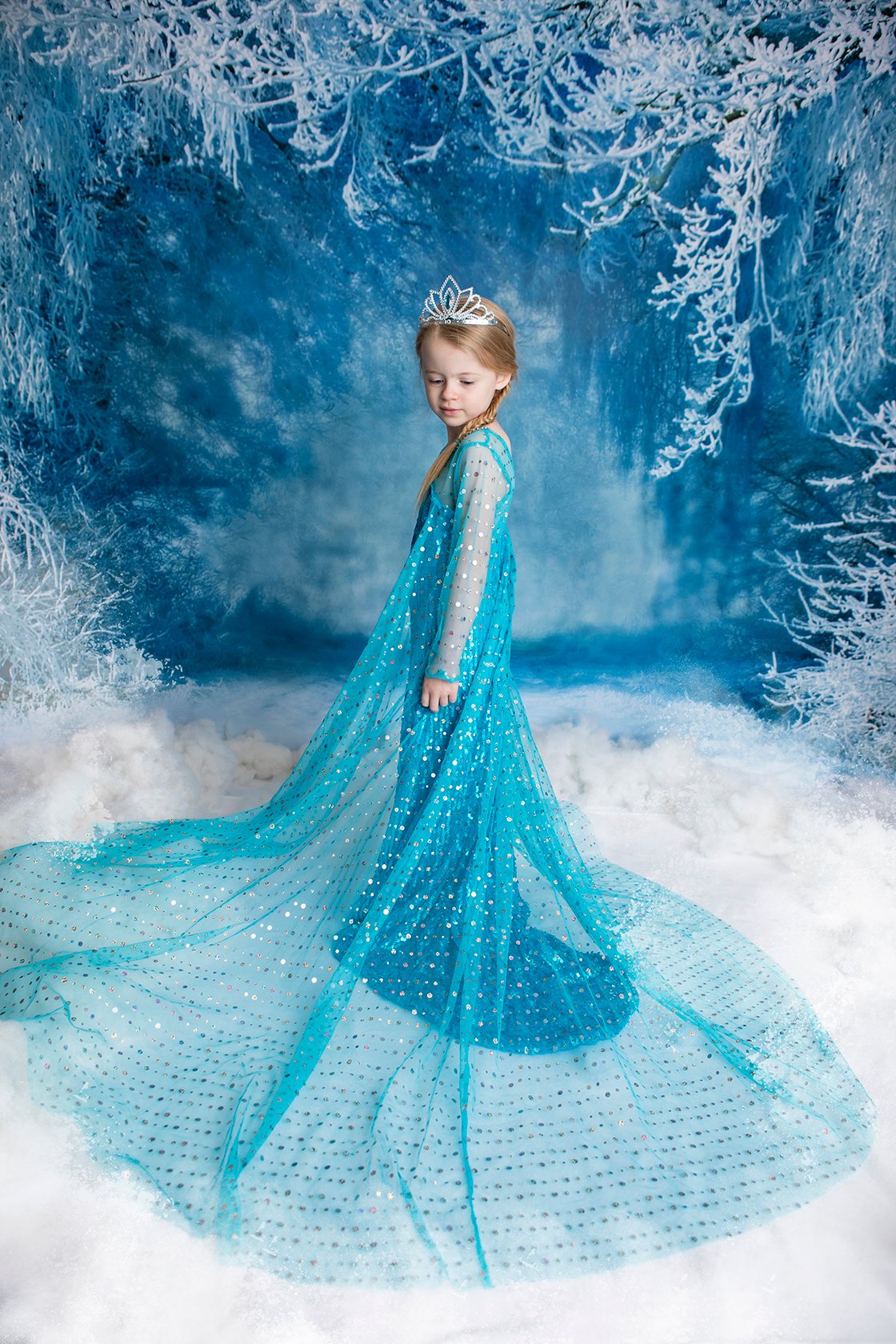 Image of Retainer fee Princess mini session