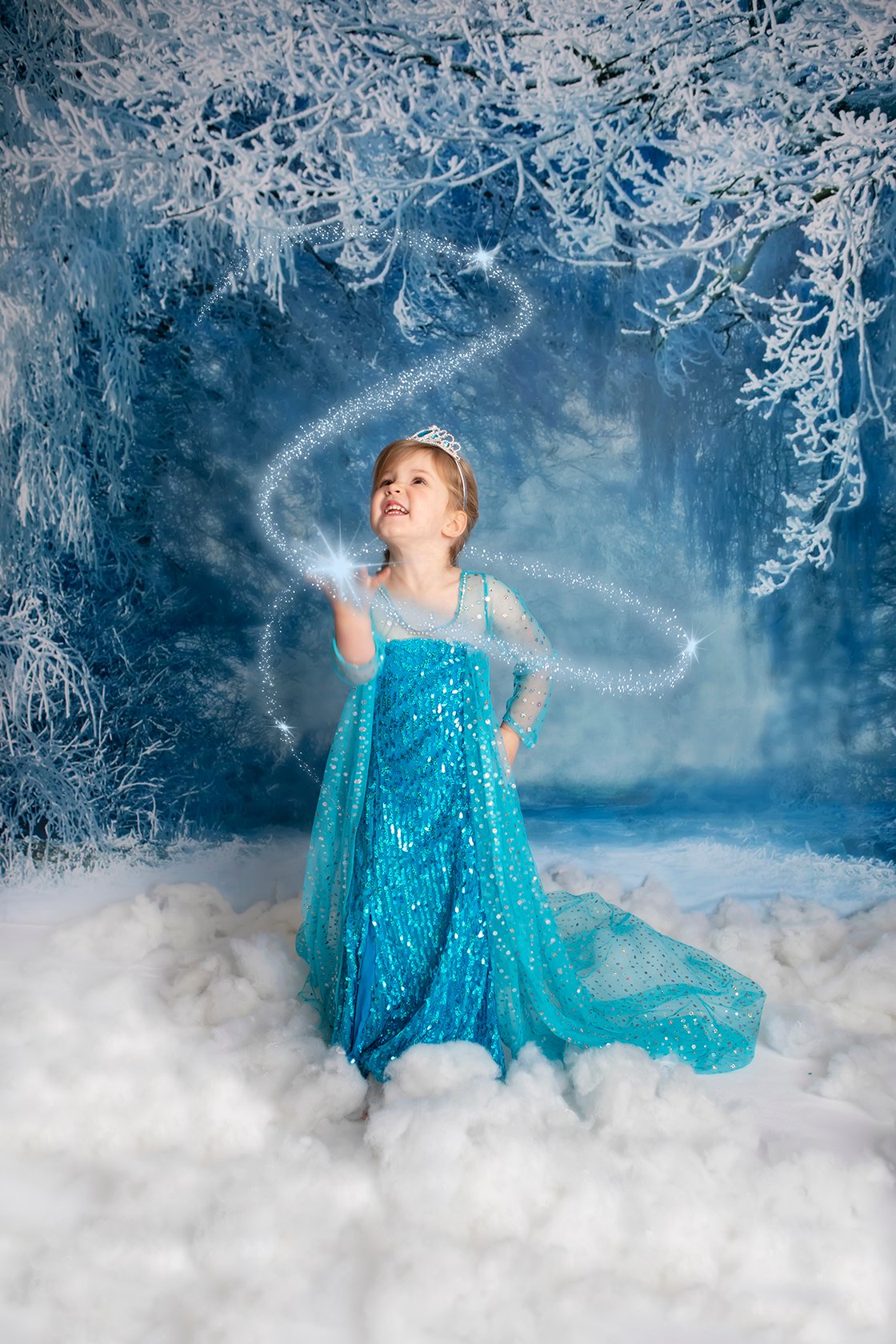 Image of Retainer fee Princess mini session