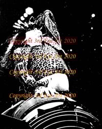 Limited Edition Aerosmith Print