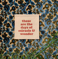Image 1 of Miracle and Wonder Banner