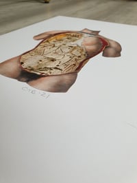 Image 2 of 'Oak'