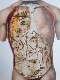 Image 3 of 'Oak'