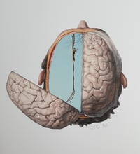 Image 1 of 'Demise'