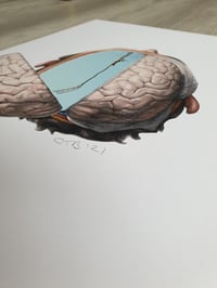Image 2 of 'Demise'