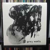Image 1 of Grey Walls - Asche