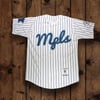 MPLS JERSEY 