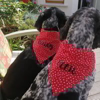 Image 2 of Red Polka Dot Dog Bandana