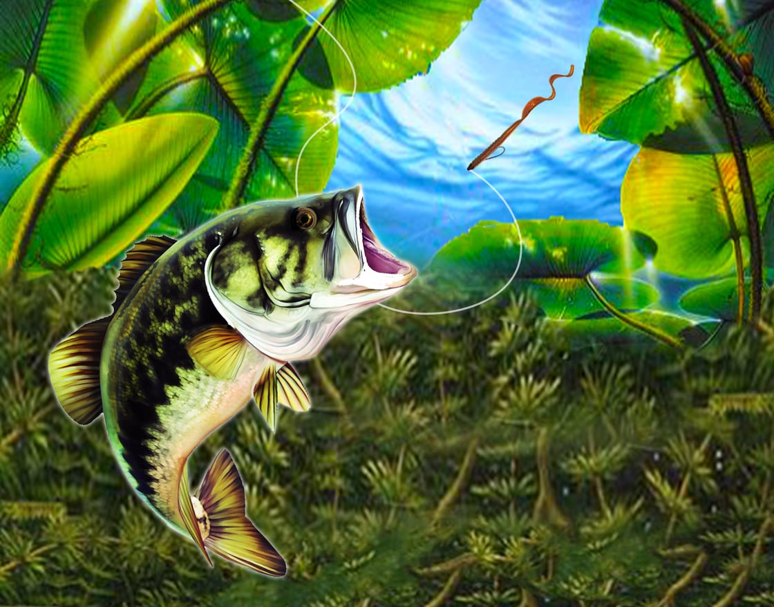 Image of RBC Try All 6