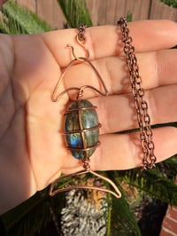 Image 1 of Labradorite fish 