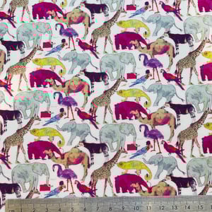 Image of Queue for the Zoo ( A )