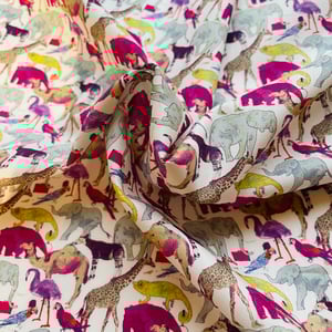 Image of Queue for the Zoo ( A )