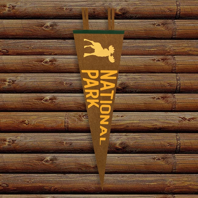 National Park 9x27 Pennant