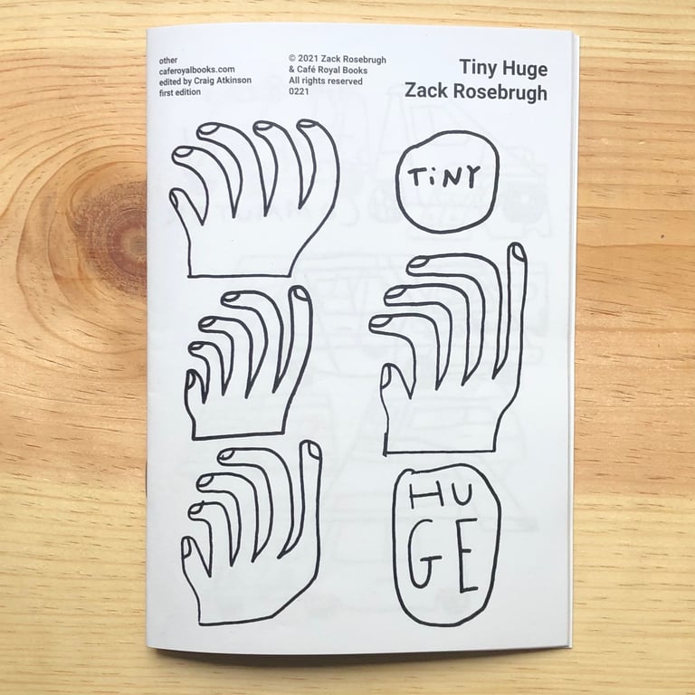 'Tiny Huge' zine & pins