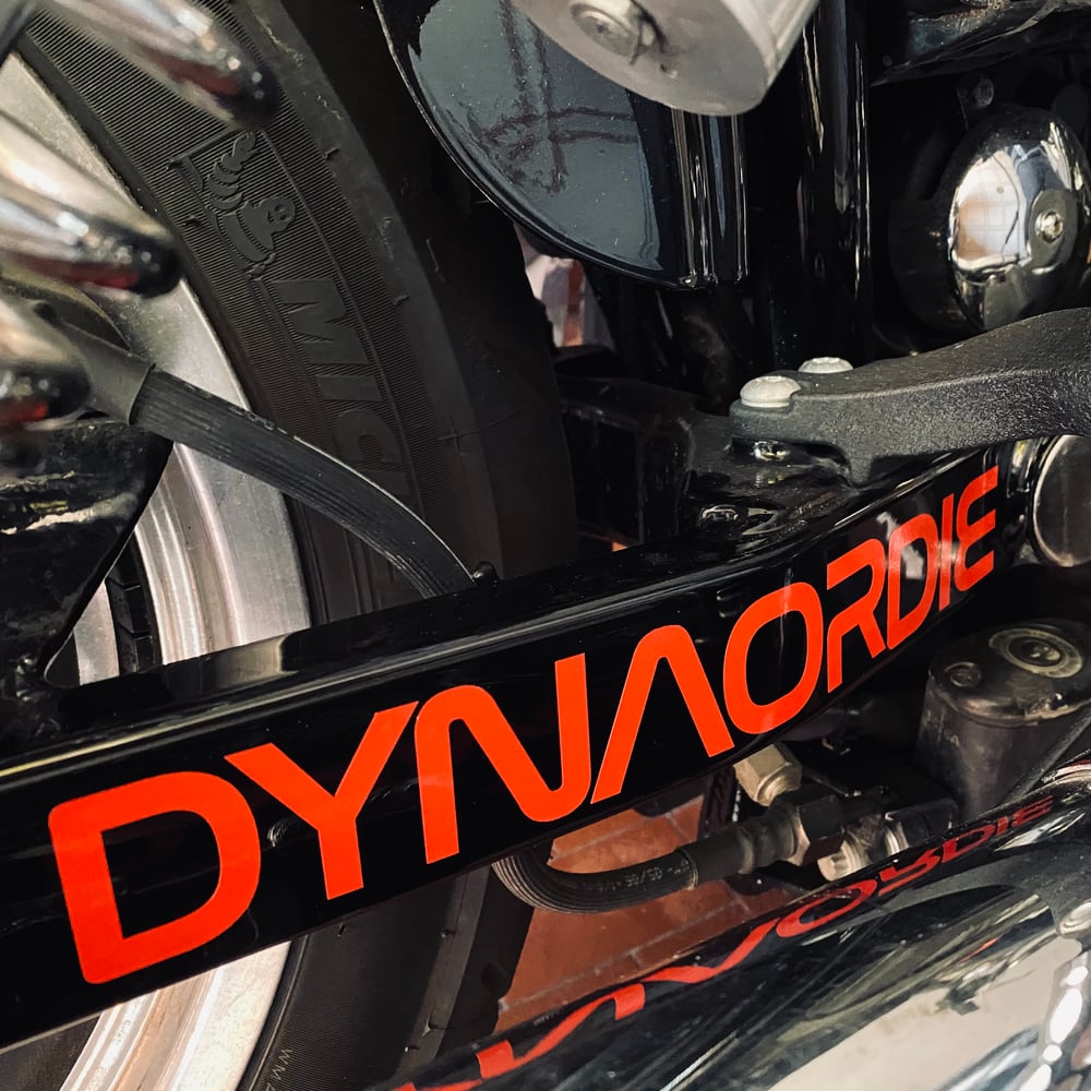 Dynasa swingarm decal