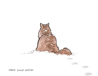 Image 3 of Snow Cat