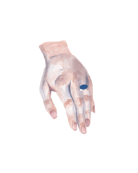 Image 1 of Safety net