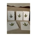 Image 3 of  Cannabis Pack