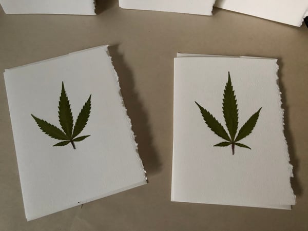 Image of Cannabis Pack