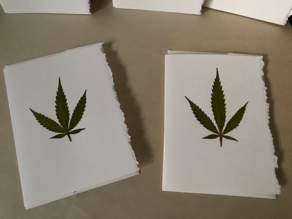 Image of  Cannabis Pack