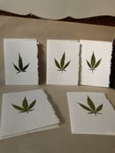 Image 2 of  Cannabis Pack