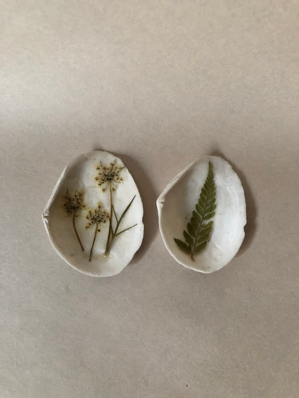 Image of Queen Anne’s Lace + Fern