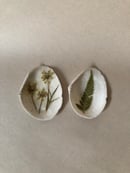 Image 1 of Queen Anne’s Lace + Fern
