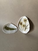 Image 2 of Queen Anne’s Lace + Fern