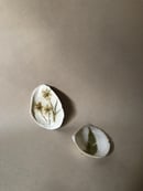 Image 3 of Queen Anne’s Lace + Fern