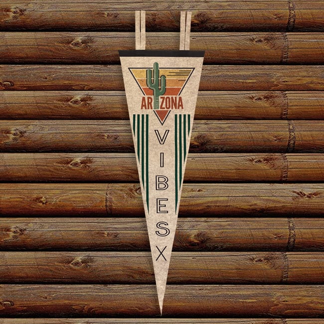 Arizona Vibes 9x27 Pennant