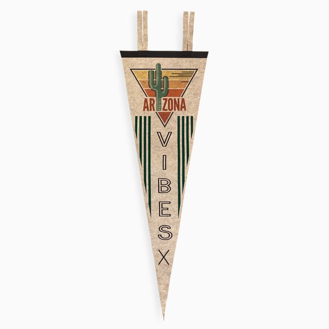 Arizona Vibes 9x27 Pennant