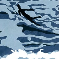 Image 2 of Black dog surf