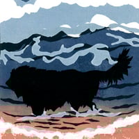 Image 3 of Black dog surf