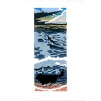 Image 1 of Black dog surf