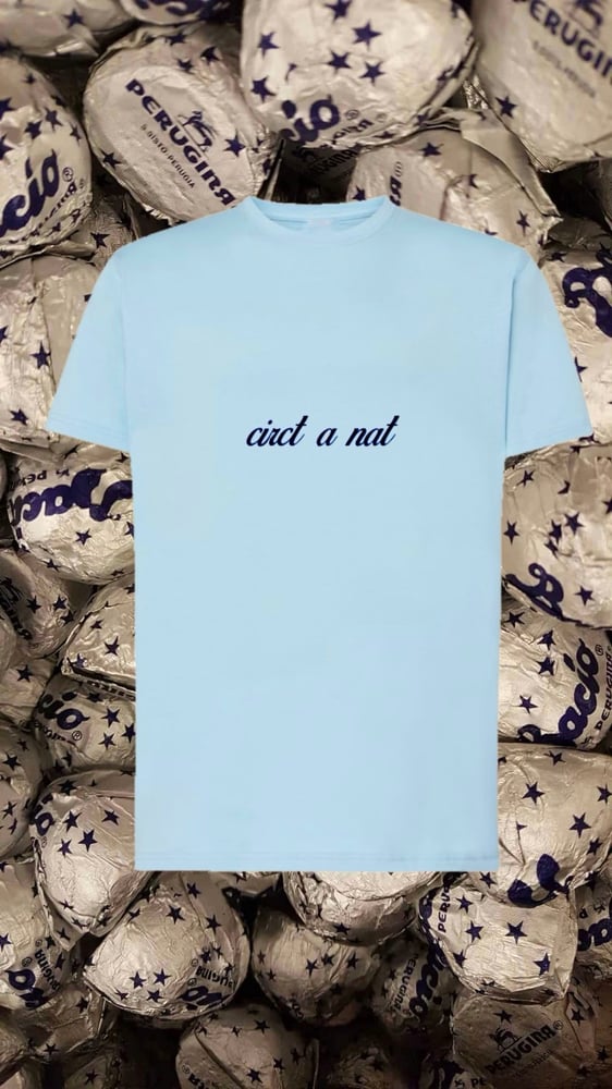 Image of CIRCT A NAT TEE