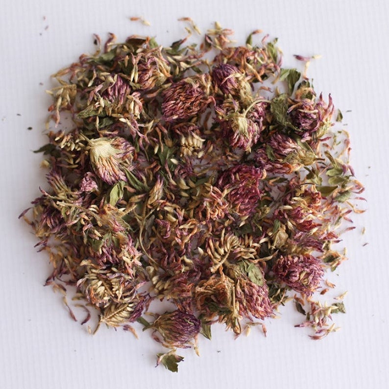 Image of Red Clover