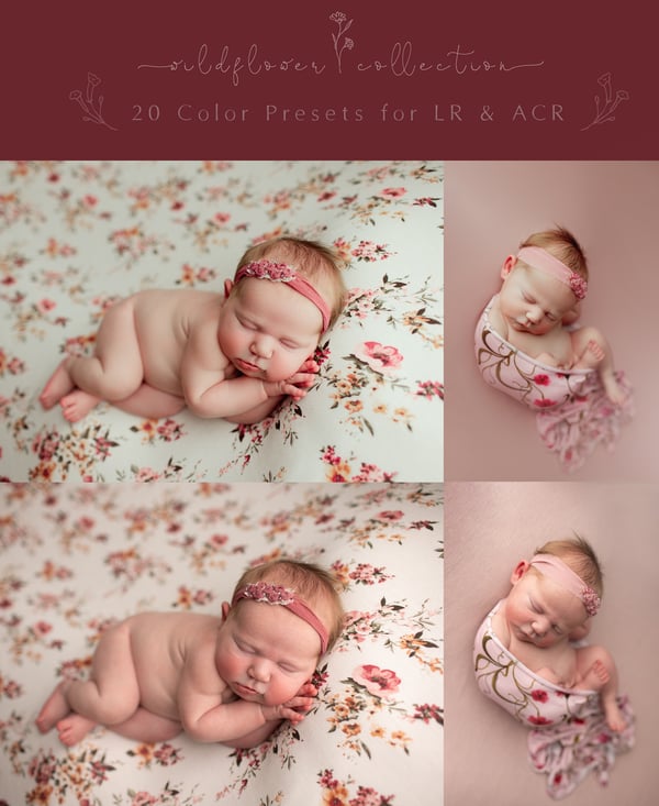 Image of Wildflower Collection Presets