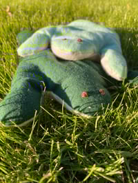 froggy pack