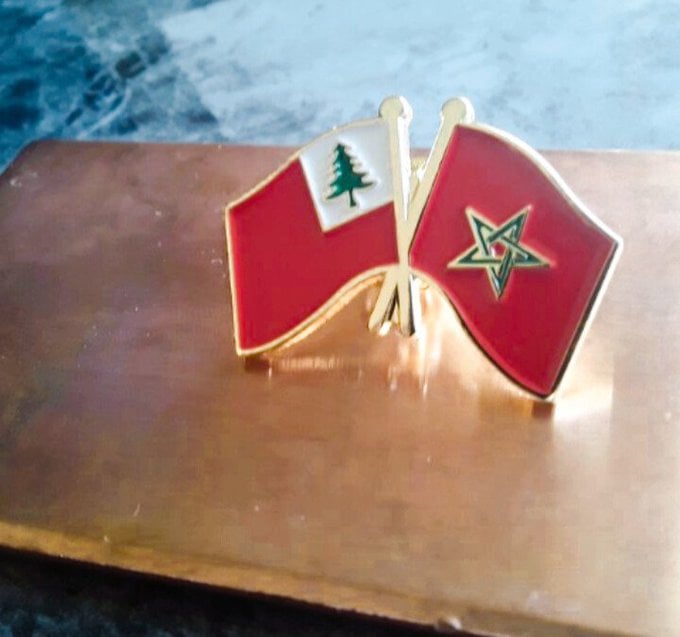 Image of The Uniting of Asia FLAG PIN 