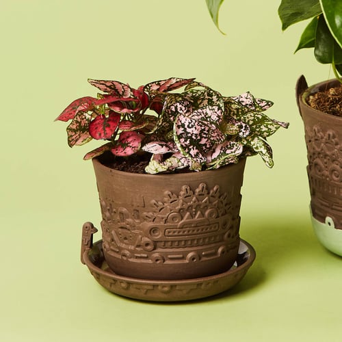 Image of manoa planter set S