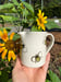 Image of Medium Jugs