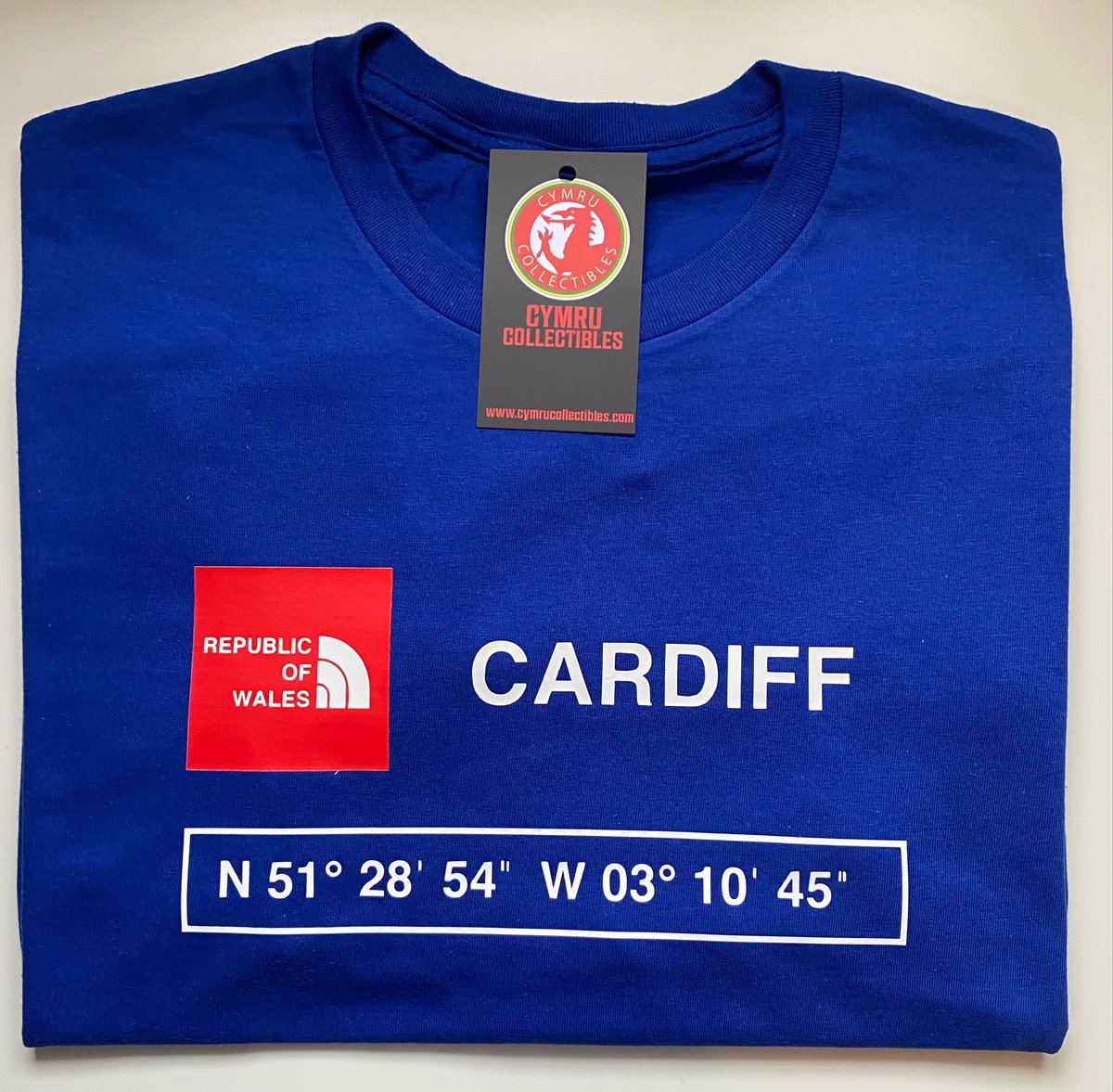 CARDIFF COORDINATES MENS T SHIRT Cymru Collectibles