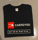 CARDIFF COORDINATES WOMENS T-SHIRT