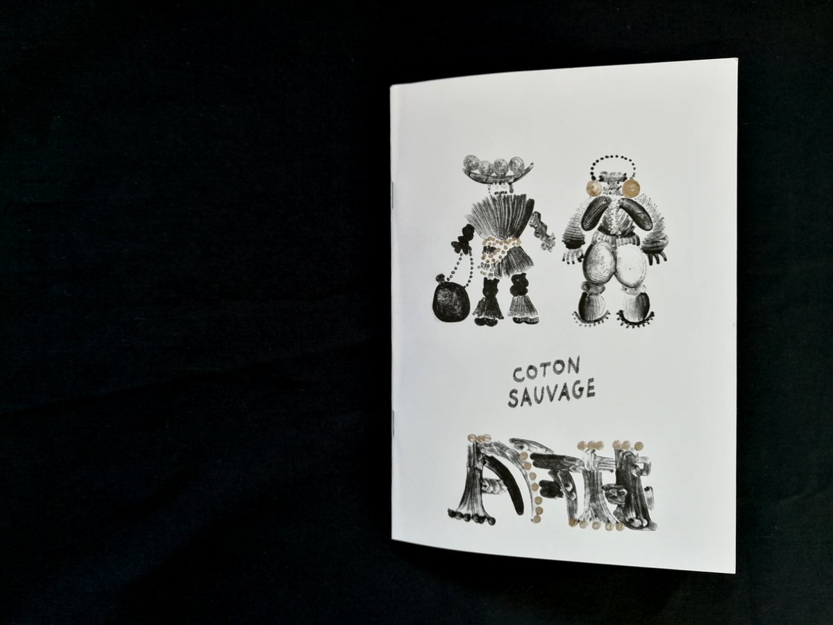 Image of COTON SAUVAGE